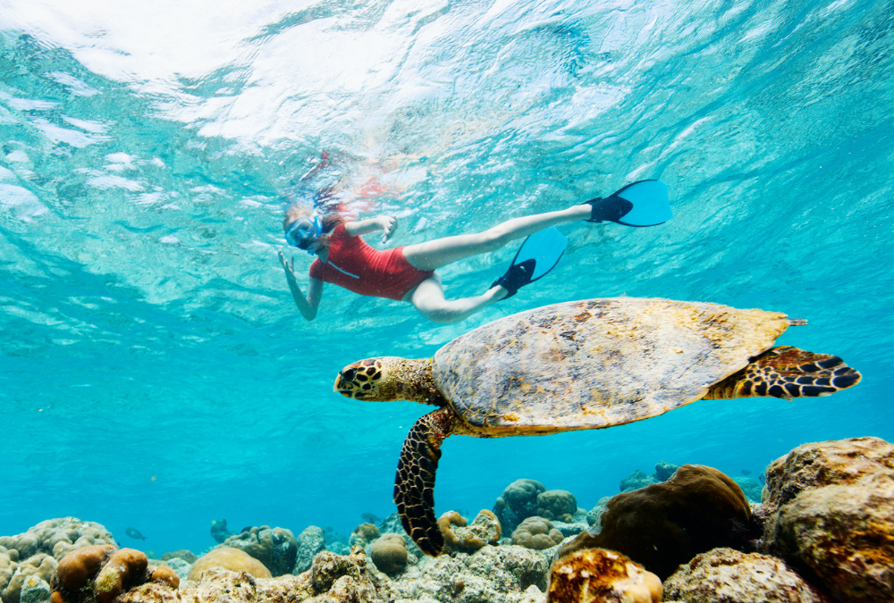 Snorkeling vs Scuba Diving: Choosing the Right Underwater Adventure for You