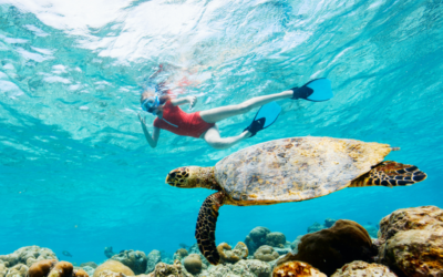 Snorkeling vs Scuba Diving: Choosing the Right Underwater Adventure for You